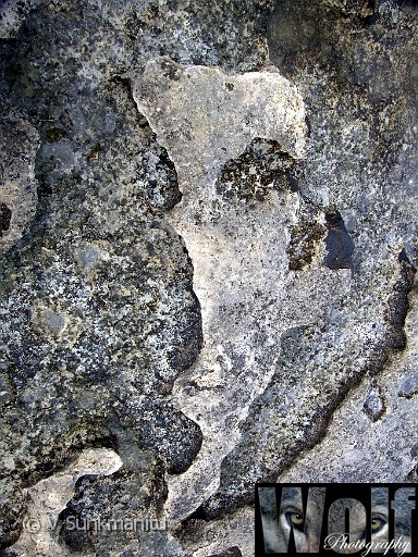 SWE 015 Copyright Villayat Sunkmanitu.jpg